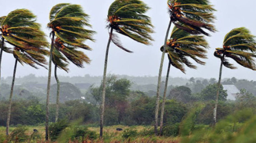 Los vientos protagonizarán los próximos días en la Región