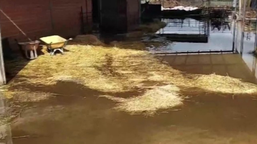 Explotación ganadera en Las Herencias