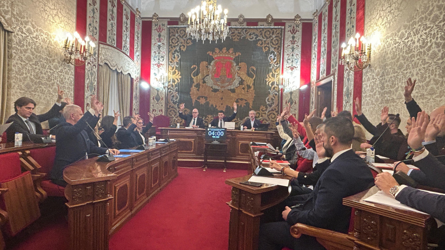 Pleno del Ayuntamiento de Alicante