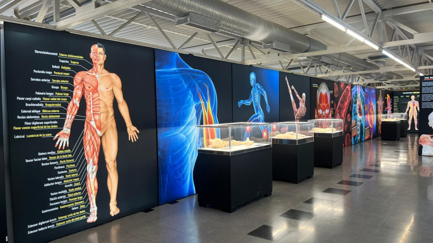 Exposición Valladolid