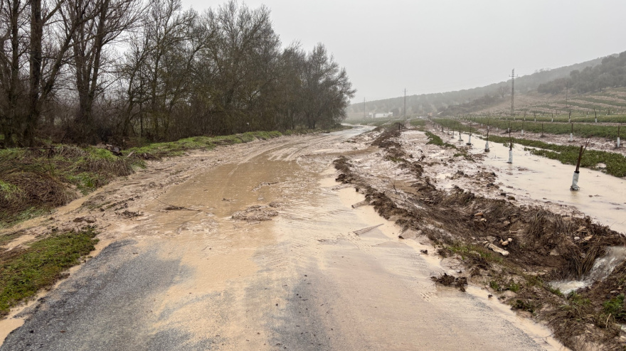 La provincia es la tercera de Andalucía con más incidencias
