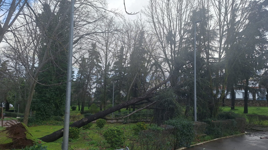 Consecuencias del temporal en Los Santos