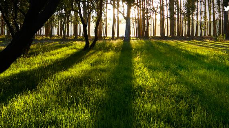 Ecodialogos Magnon Green Energy