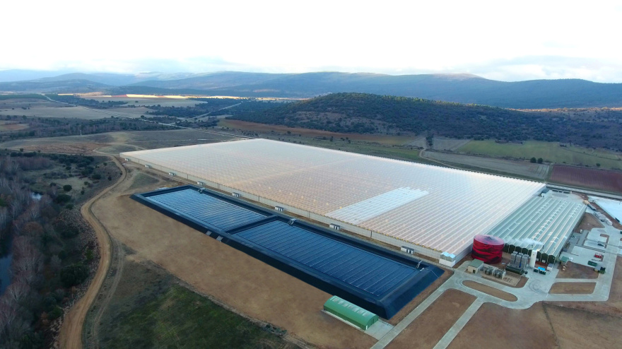 Ondara afronta un momento decisivo ante la posible firma de un importante contrato de cannabis medicinal con una de las compañías líderes a nivel mundial