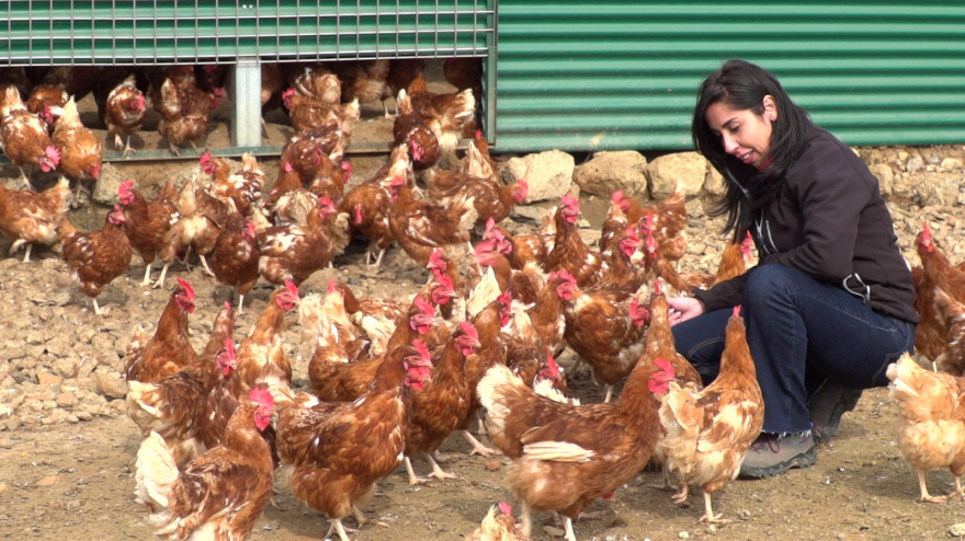 María Eugenia Búrdalo