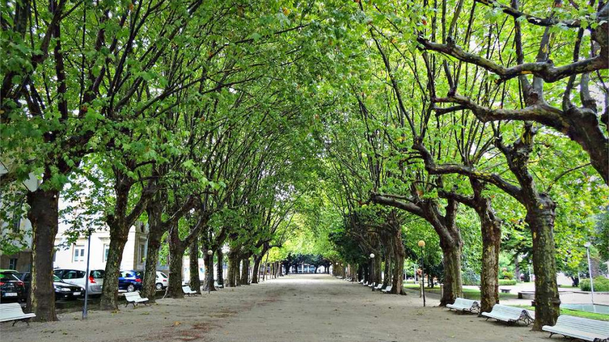 La Alameda de Suances, en Ferrol