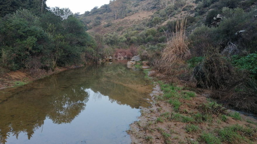 Arroyo Tamujoso