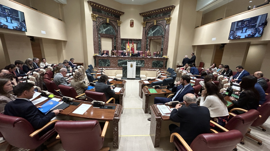 Pleno Asamblea Regional