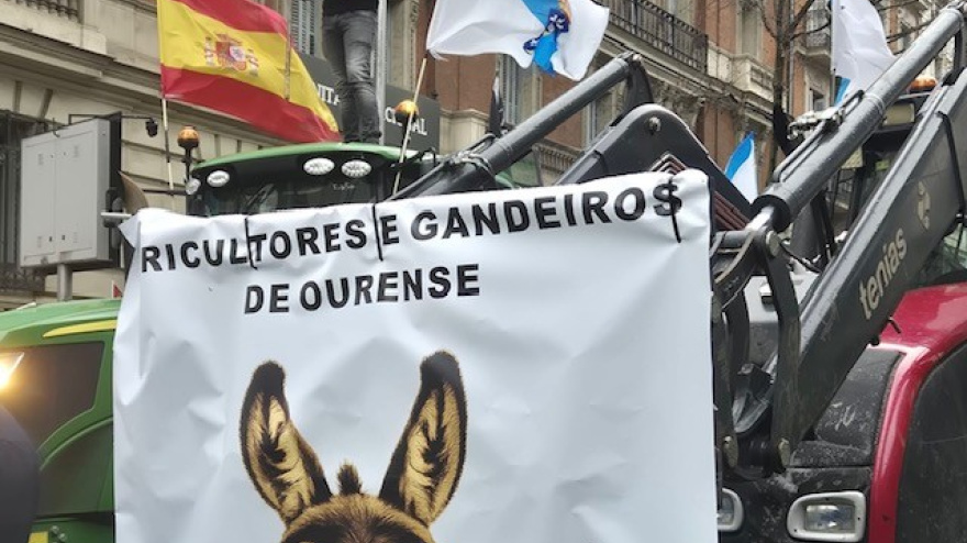 Centenares de agricultores y ganaderos de Ourense en la manifestación en Madrid