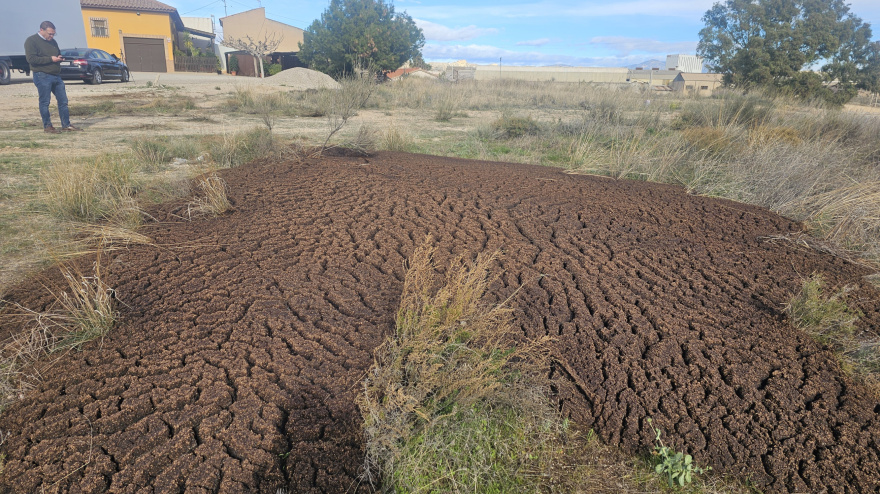 Imagen del vertido ilegal de alperujo en la pedanía lorquina de Río