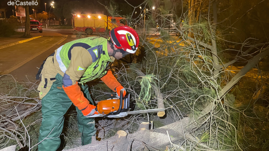 Bomberos retiran un árbol que cayó en la calle por los efectos del viento