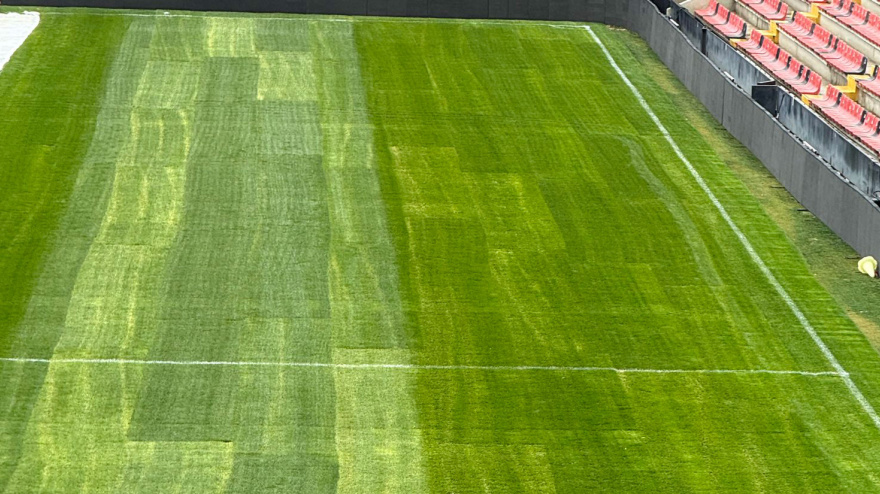 Así está el césped del estadio de Vallecas.