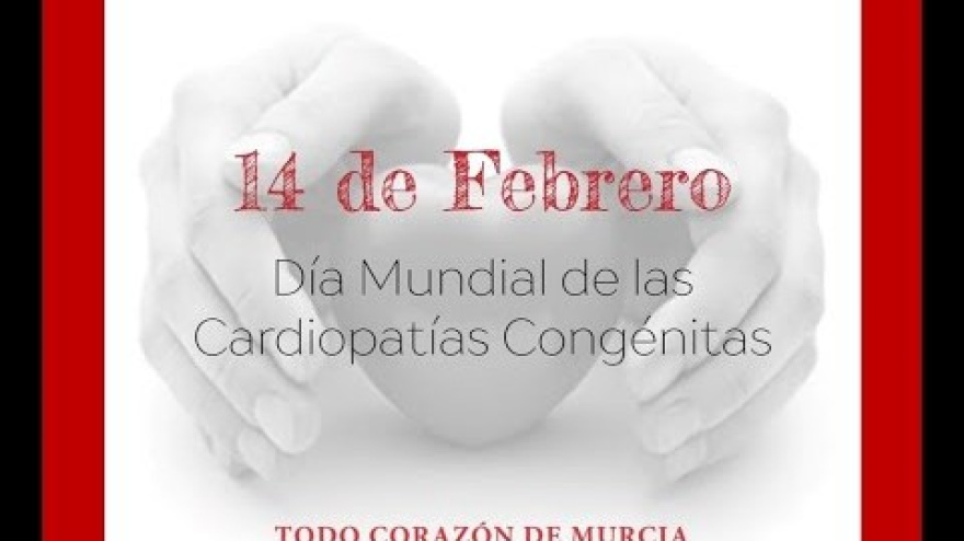 Actividades de la Asociación Todo Corazón