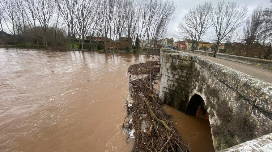 Situación del río Arlanza en Quintana del Puente (Palencia)