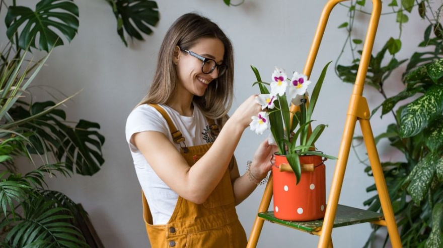 Las plantas reaccionan a la voz y a la interacción con humanos