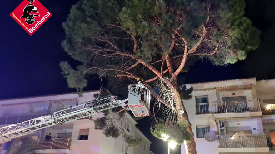 Bomberos intervienen para asegurar un árbol dañado por el fuerte viento en la Marina Alta, evitando riesgos para viandantes y vehículos