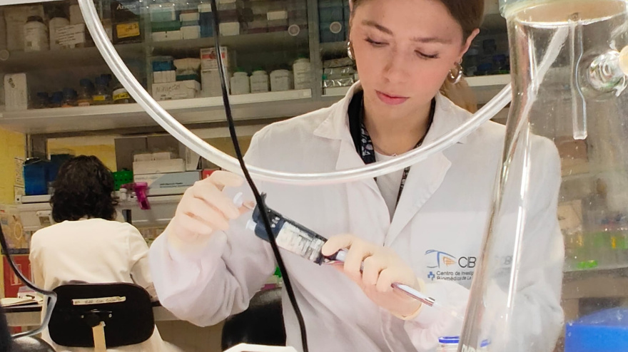 Gran trabajo del equipo de investigación de Judith Beni