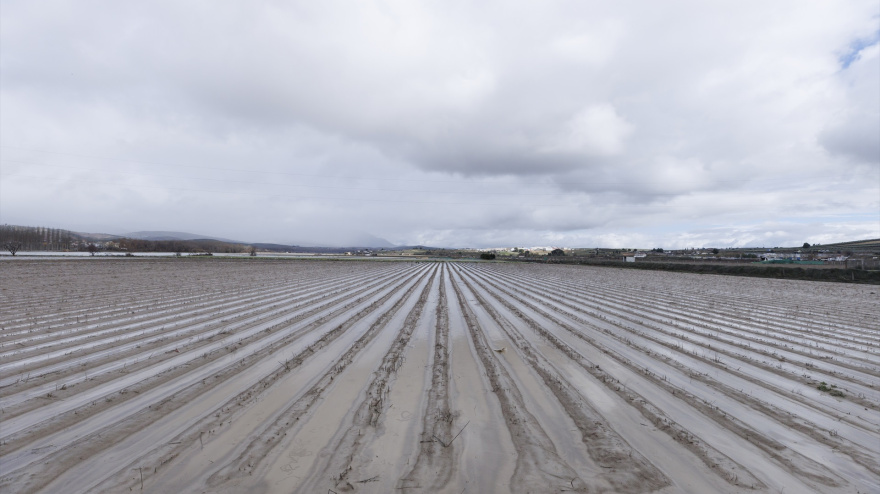 Cultivos anegados tras las inundaciones producidas por el desbordamiento del río Genil, en Huétor Tájar, Granada
