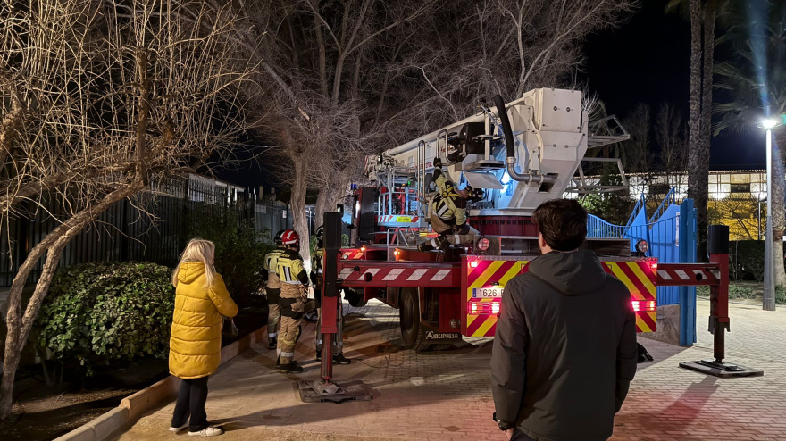 Servicios de emergencias durante incidencias con el arbolado durante el temproal de viento
