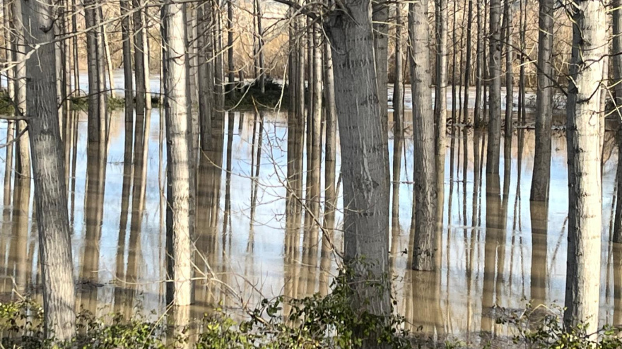 Imagen del Ebro a su paso por Sobradiel