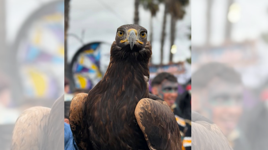 Redes sociales El Vaivén