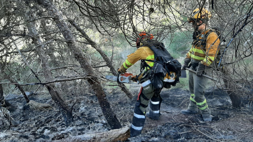 Profesionales trabajando en la zona del incendio
