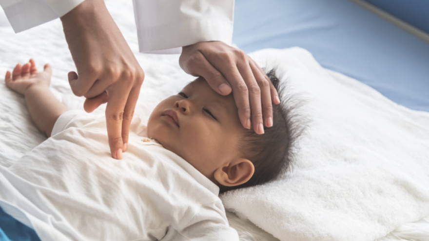 Tres fechas en febrero, junio y octubre para el aprendizaje de los padres.