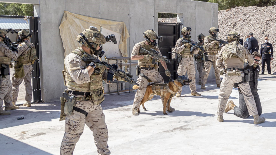 Unidades de Infantería de Marina