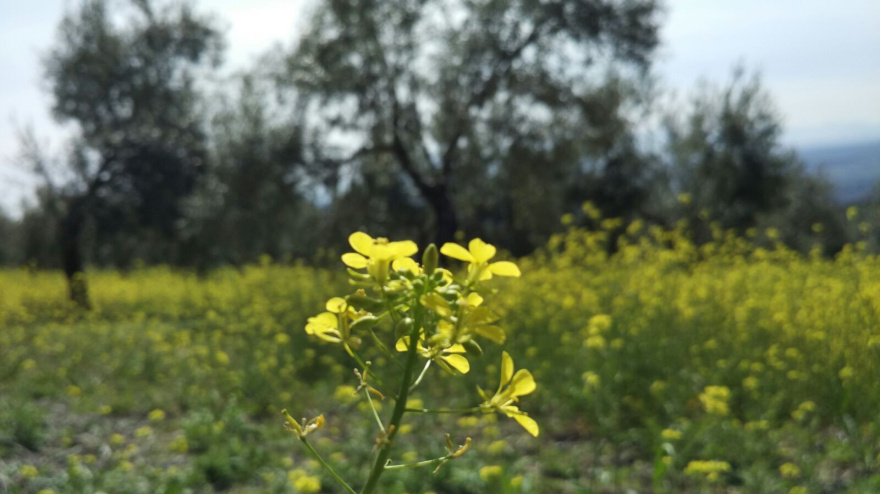 La localidad de Farlete acoge unas jornadas sobre el vínculo de la agricultura con la meteorología y la astronomía