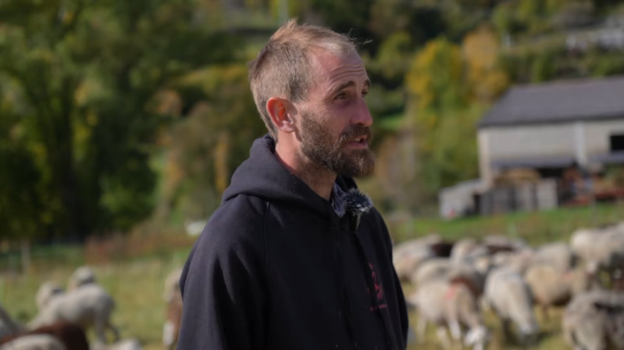 La Realidad del día a día de un Pastor de Ovejas