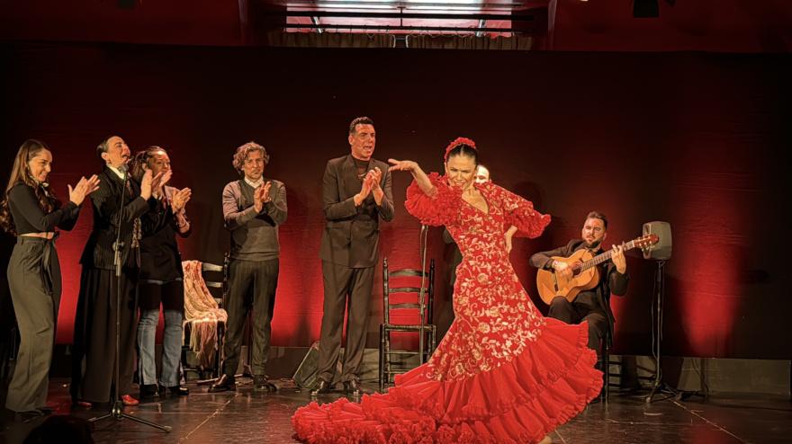 Espectáculo de la presnetación