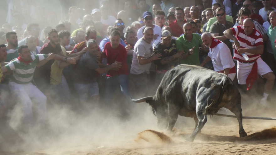 Celebración de la tradicional carrera del ´toro enmaromado´ en la localidad zamorana de Benavente