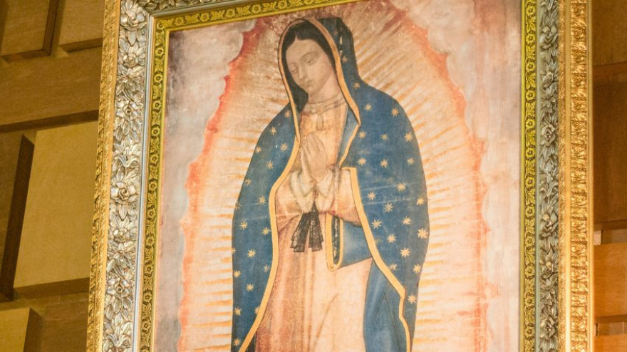 La pedagogía divina de Guadalupe