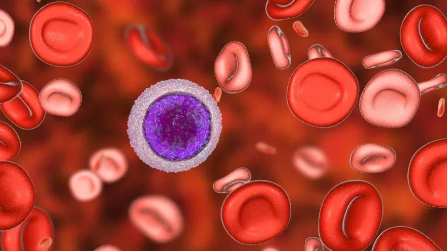 Caída del cabello y falta de hierro