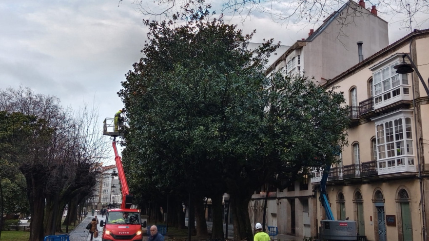 La poda en el Cantón de Molins