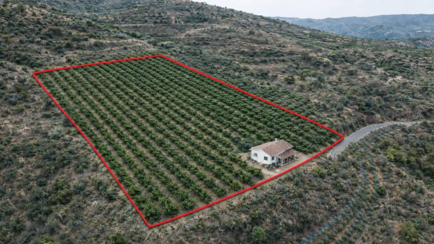 Geolindes: soluciones catastrales