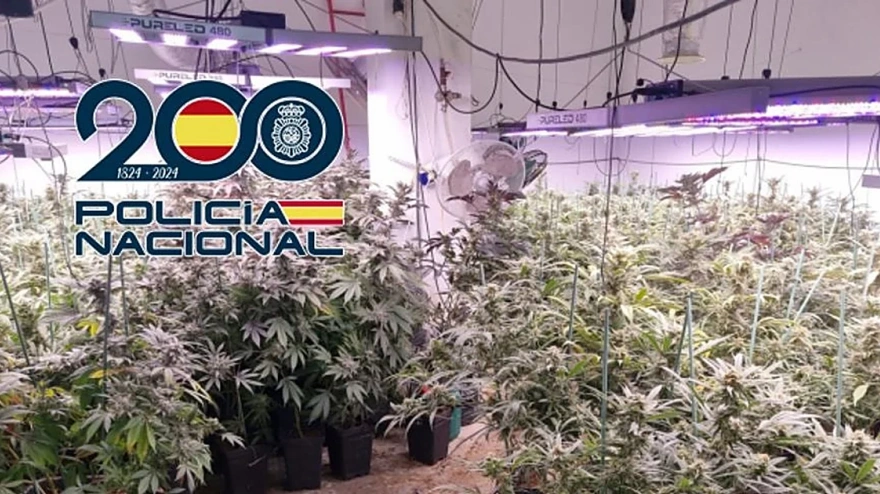 Imagen de archivo de una operación antidroga de la Policía Nacional