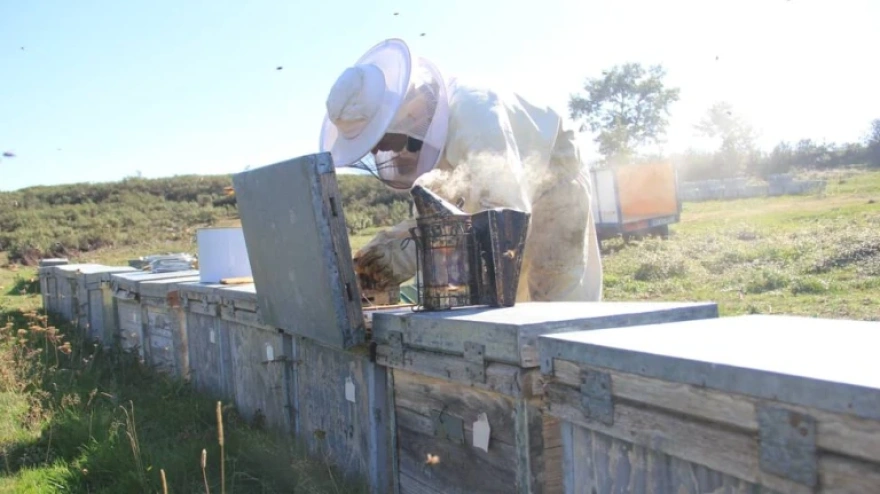Roberto, productor de miel: "Mezclada confunde a los consumidores y no cumple"