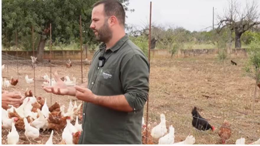Joan, avicultor de Mallorca en un vídeo de Adrian G.Martin en su canal de Youtube @AdrianG.Martin