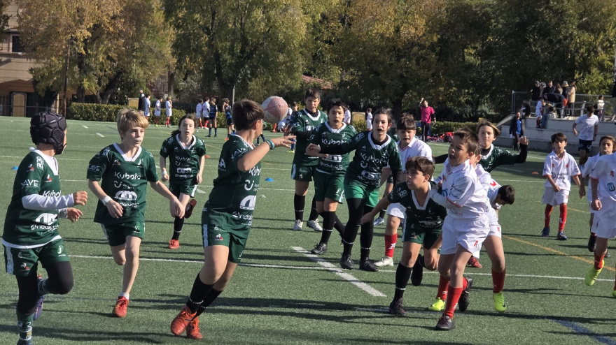 Siete de los clubes más importantes de la comunidad se dan cita en un torneo que reúne a casi 500 participantes de 4 a 11 años