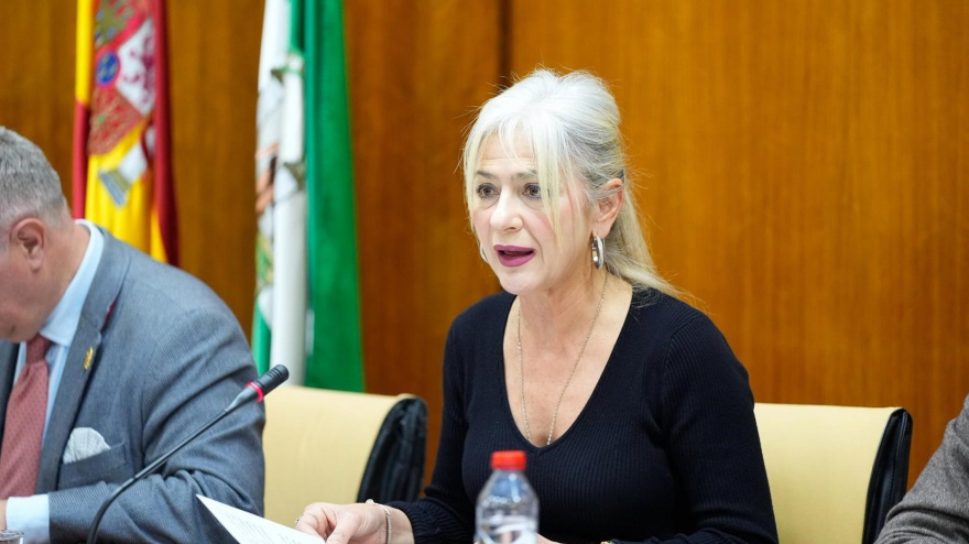 La consejera de Cultura y Deporte, Patricia del Pozo