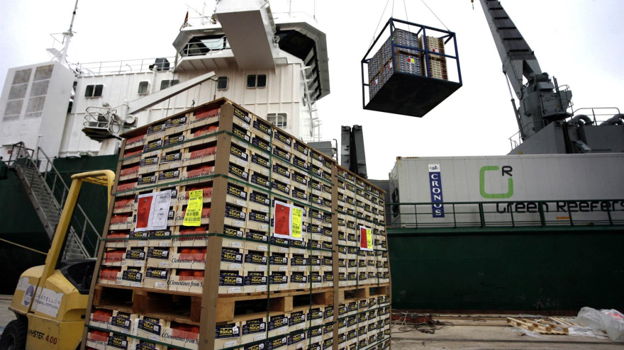 Una carretilla elevadora espera su turno de estiba en la carga de naranjas que partirá hacia Estados Unidos