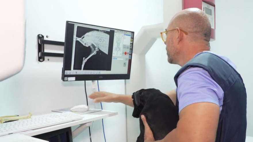 Captura de pantalla. José Juan, veterinario rural, en un vídeo publicado canalextremadura.es