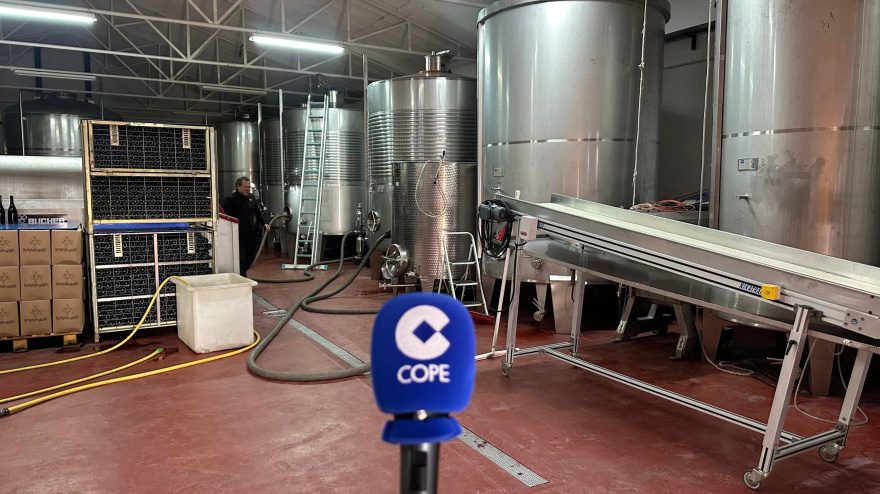 El sector del vino en Castilla y León estalla contra la burocracia y lanza sus peticiones en clave electoral: "Nos está comiendo"