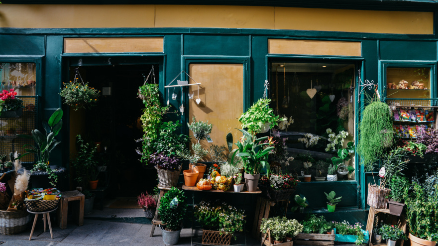 Imagen de recurso de una floristería
