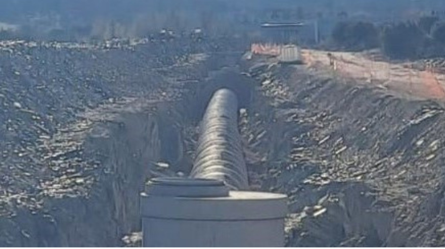 Colector Universidad