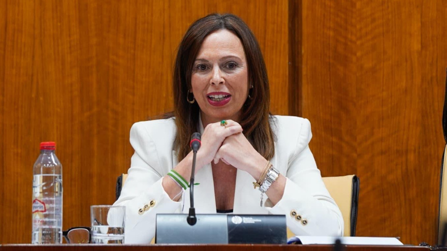 Rocío Díaz consejera de Fomento