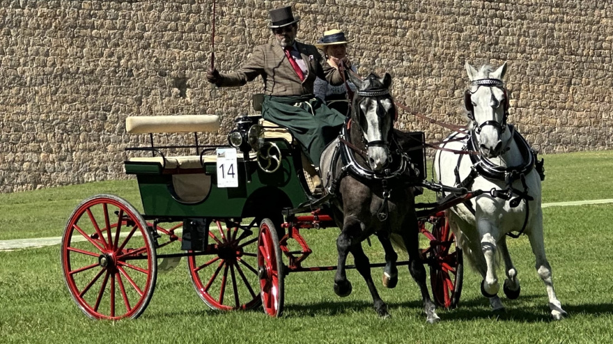 Uno de los carruajes