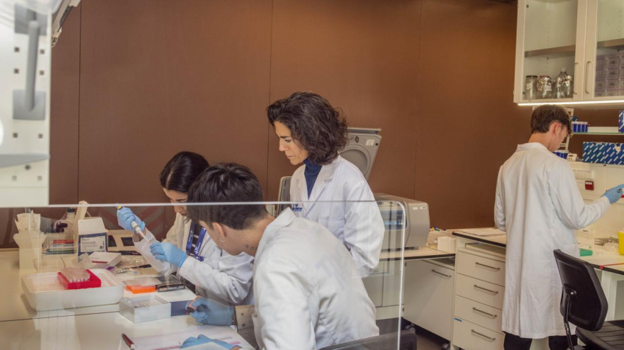 El equipo de investigadores de Patricia Pozo-Rosich