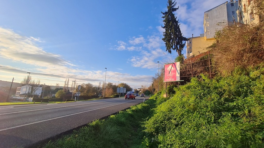 El abeto que será retirado este viernes presenta una peligrosa inclinación sobre la carretera Nacional 6
